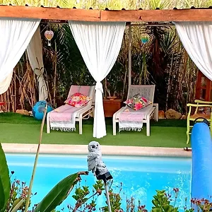 https://casa-boheme-a-lagoa-carvoeiro.hotelaalgarve.com